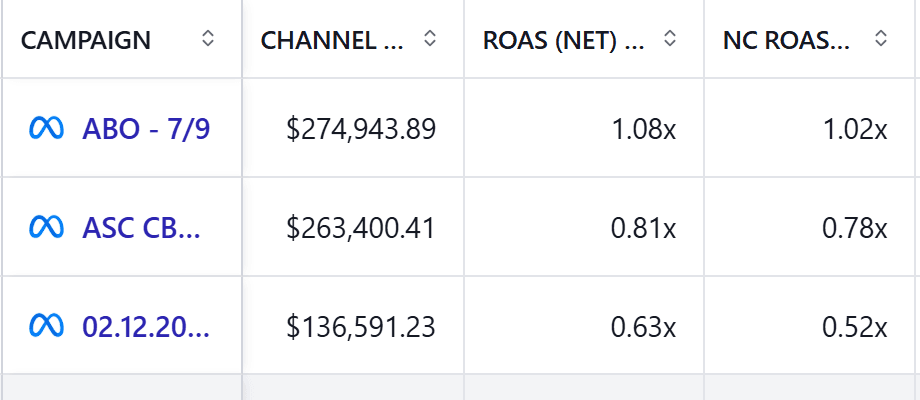 Meta Ads campaign drill-down showing campaign spend and ROAS.